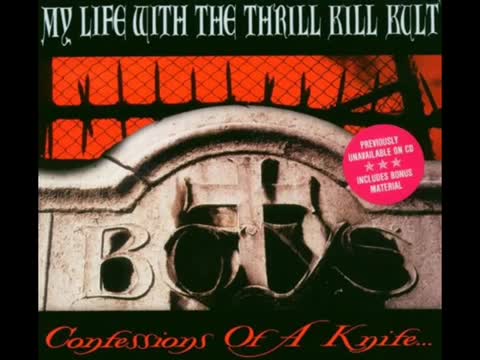 My Life With The Thrill Kill Kult